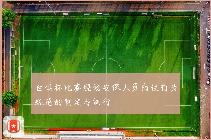世俱杯比赛现场安保人员岗位行为规范的制定与执行