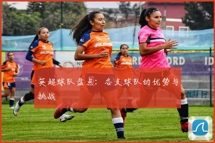 英超球队盘点:各支球队的优势与挑战