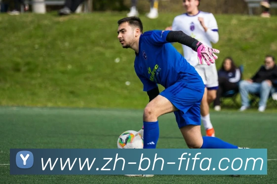 世界杯赛程服务体系