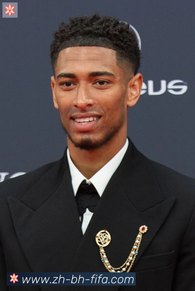 维尼修斯